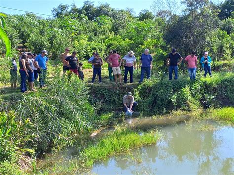 ENTREGARON ALEVINES A PRODUCTORES PISCÍCOLAS DE LA REGIÓN Itapúa Noticias