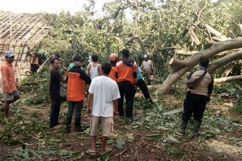 Pohon Beringin Berumur Seabad Di Makam Keramat Tumbang Timpa Rumah