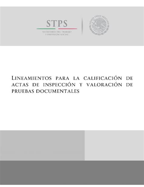 Pdf Lineamientos Para La Calificaci N De Actas De Normateca Stps