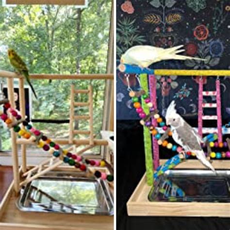 Chirping For Joy The Best Bird Playgrounds For Your Feathered Friends