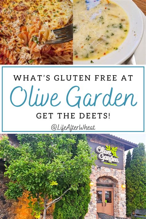 Olive Garden Gluten Free Menu Options Guide