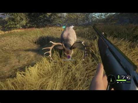 The Hunter Call Of The Wild Cheat Codes Pc Safasrepublic