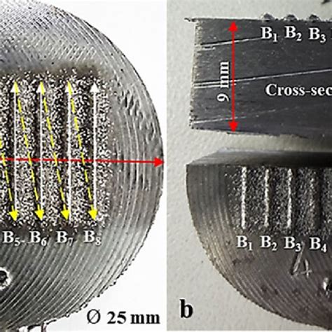 sample dimensions   cross section  scientific diagram