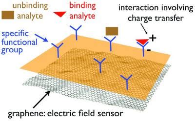 Graphene sensors: introduction and market status | Graphene-Info