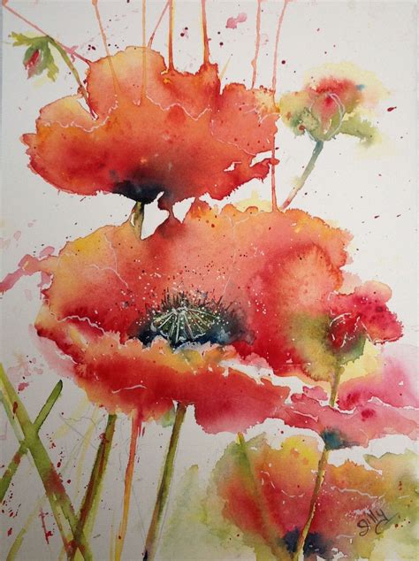 Poppy Watercolour Fiore Ad Acquerello Acquerello Floreale Dipinti