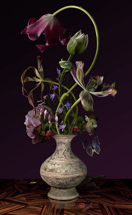 Bas Meeuws Per Van Der Horst Gallery Still Life Flowers Floral Photography Flower Pictures