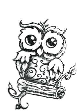 Baby Owl Drawing | Free download on ClipArtMag