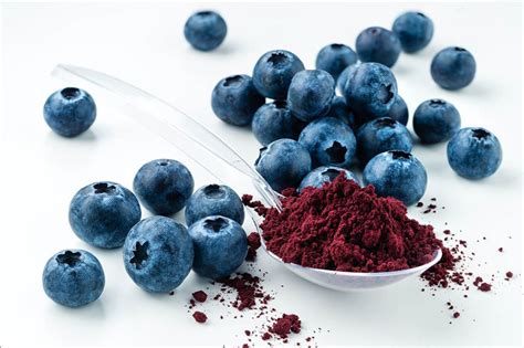 Custom Manufacturing Freeze Dried Fruit Vfd Food Technology