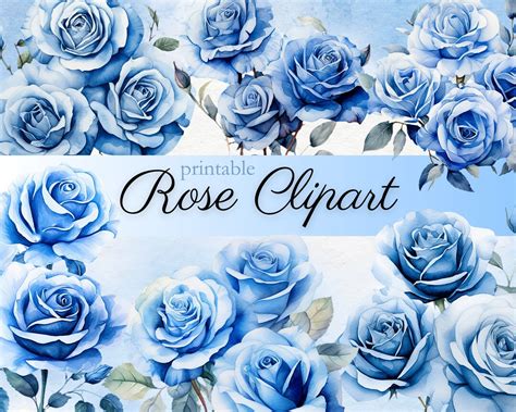 Blue Watercolor Rose Clipart Printable Transparent Digital - Etsy