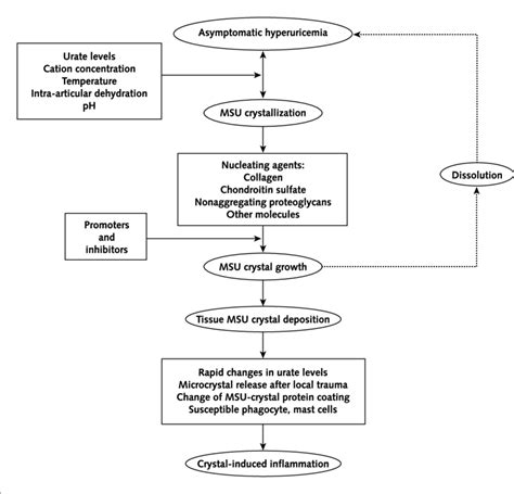 Mechanisms of monosodium urate crystal formation and induction of ...