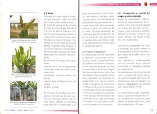 Manual Del Cultivo De La Pitaya PPT