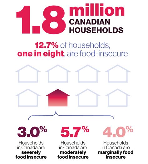 More Canadians Are Food Insecure Than Ever Before And The Problem Is