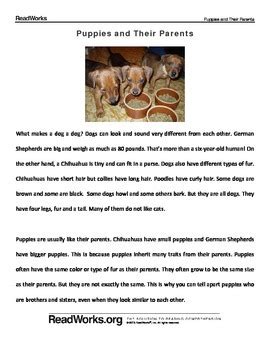 Picking A Puppy Readworks Answer Key