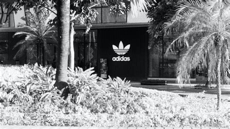 Adidas Cancels Beyonce Ivy Park Collab, Sluggish Sales to Blame