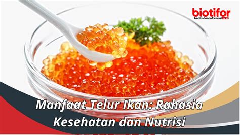 Manfaat Telur Ikan Rahasia Kesehatan Dan Nutrisi Biotifor