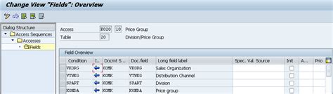 Define Access Sequence In Sap Sap Tutorial