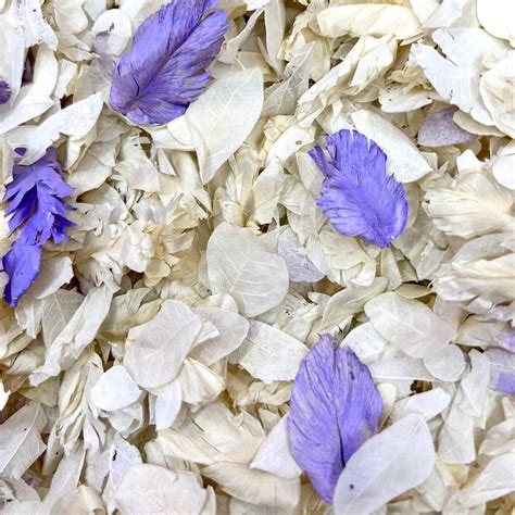 Ivory And Lilac Wedding Confetti Biodegradable Petals By Dollz Confetti