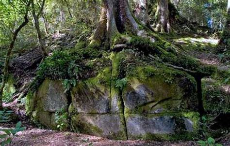 Kaimanawa wall - New Zealand | Ancient Origins