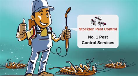 20 Effective Pest Control Advertisement Strategies To Get Leads