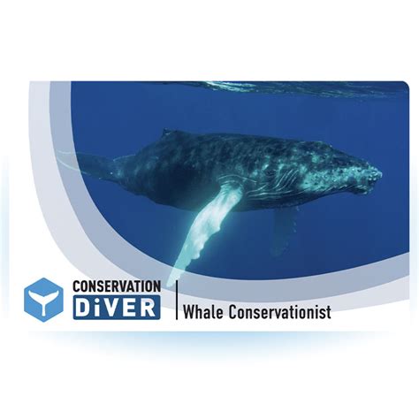 Whale Conservationist - Conservation Diver