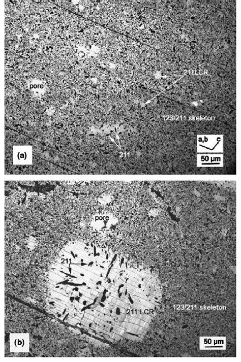 Optical Micrograph In Polarized Light Showing 211 Low Concentration Download Scientific Diagram