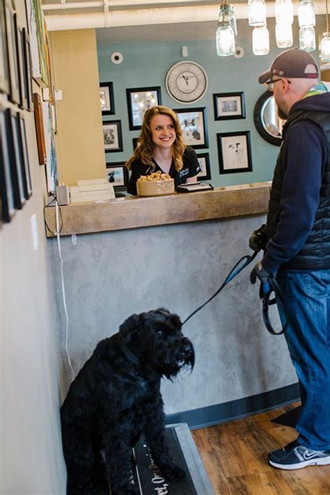 Veterinarian And Animal Hospital For Minneapolis Mn Pets St Paul Pet