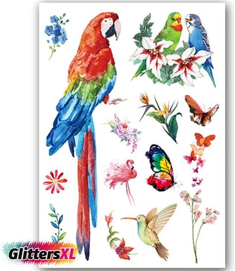 GlittersXL Temporary Tattoo Papegaai Vlinders Vogels Bloemen A5