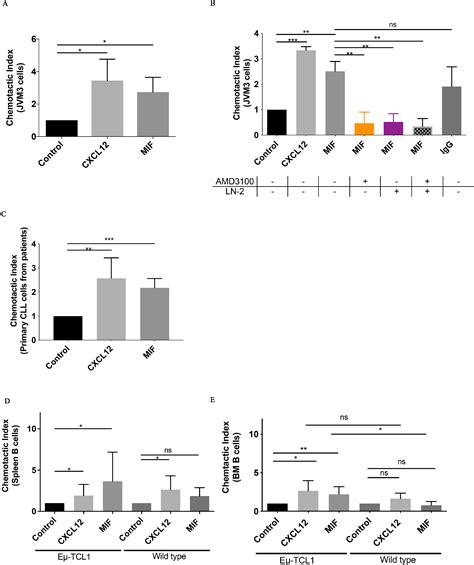 Cxcr4 And Cd74 Together Enhance Cell Survival In Response To Macrophage