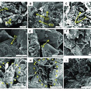 Photomicrographs Showing Diagenetic Characteristics Of The Huangliu