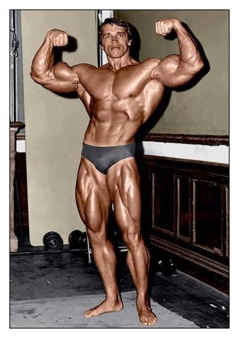 Arnold Schwarzenegger A Blueprint For Bodybuilding Success Arnold