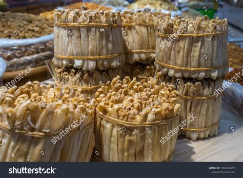 nudus images stock  vectors shutterstock