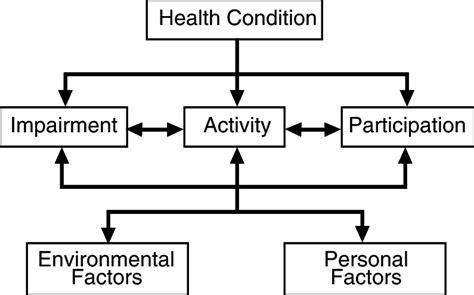 The World Health Organizations Who International Classification Of