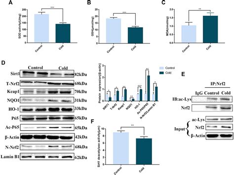 Frontiers Cold Exposure Induces Intestinal Barrier Damage And