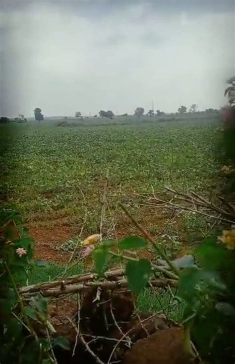 1 Acres Agriculture Land For Sale At Rs 1500000 Acre In Hyderabad ID