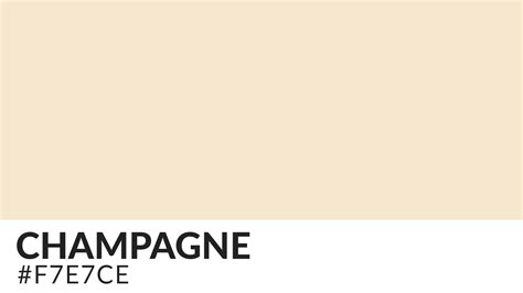 How Champagne Color Can Give Your Projects A High End Look HipFonts