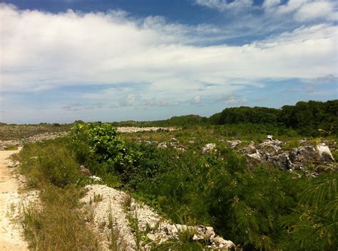 Naurus Phosphate Mines Alluring World