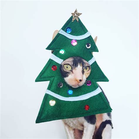 Christmas Tree Pet Costume - Etsy