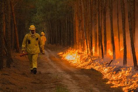 Incendios Forestales En Corrientes Impresionante Video Del Fuego En