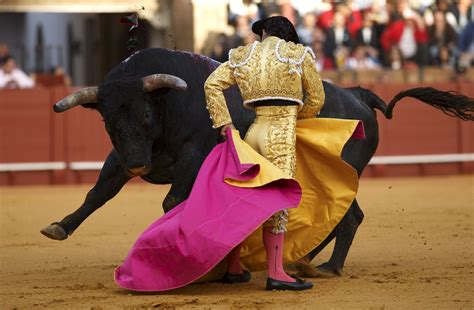 Bull Fight Wallpapers Wallpaper Cave