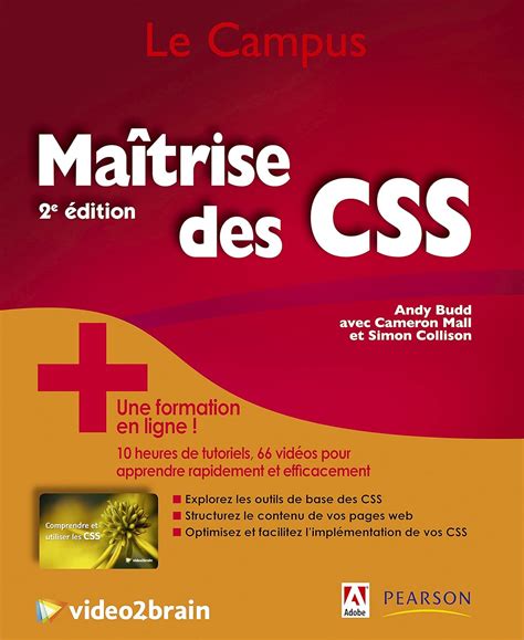 Amazon Fr Maitrise Des Css Comprendre Et Utiliser Les Css Budd