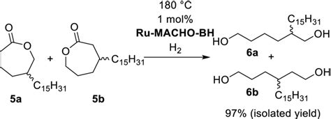 Homogeneously Catalyzed Hydrogenation Of 5‐pentadecyl‐ε‐caprolactone 5a Download Scientific