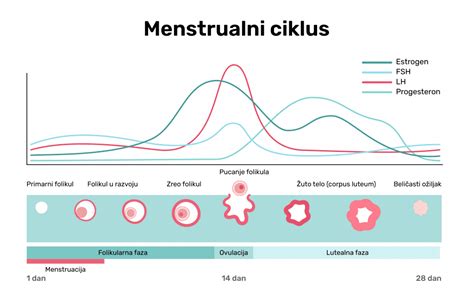 Menstrualni bolovi kako nastaju kada su opasni i kako ih ublažiti