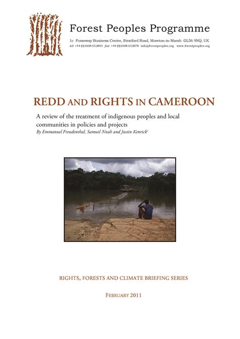 REDD And Rights In Cameroon A Review Of The Treatment Of Indigenous