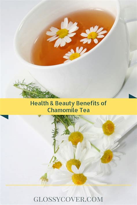 Health And Beauty Benefits Of Chamomile Tea Chamomile Tea Benefits