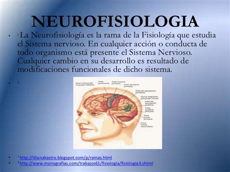 Presentacion De Neurologia