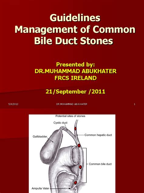 Guidelines Management Of Common Bile Duct Stones Gastroenterology