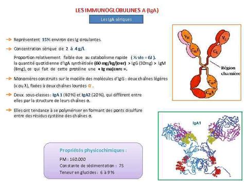 Les Immunoglobulines COURS 3 EME ANNEE MEDECINE