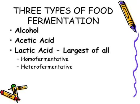 PPT - THREE TYPES OF FOOD FERMENTATION PowerPoint Presentation - ID:3129655