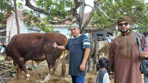 Kisah Pengusaha Muda Asal Bangka Kurban Sapi Limosin Dikenal Suka