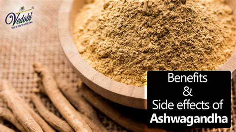 Vedobi Benefits And Side Effects Of Ashwagandha